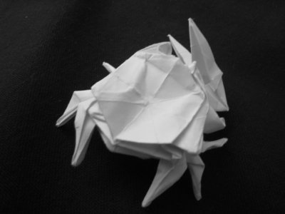 Origami_Gallery/Old/Fiddler Crab_1.bw.jpg